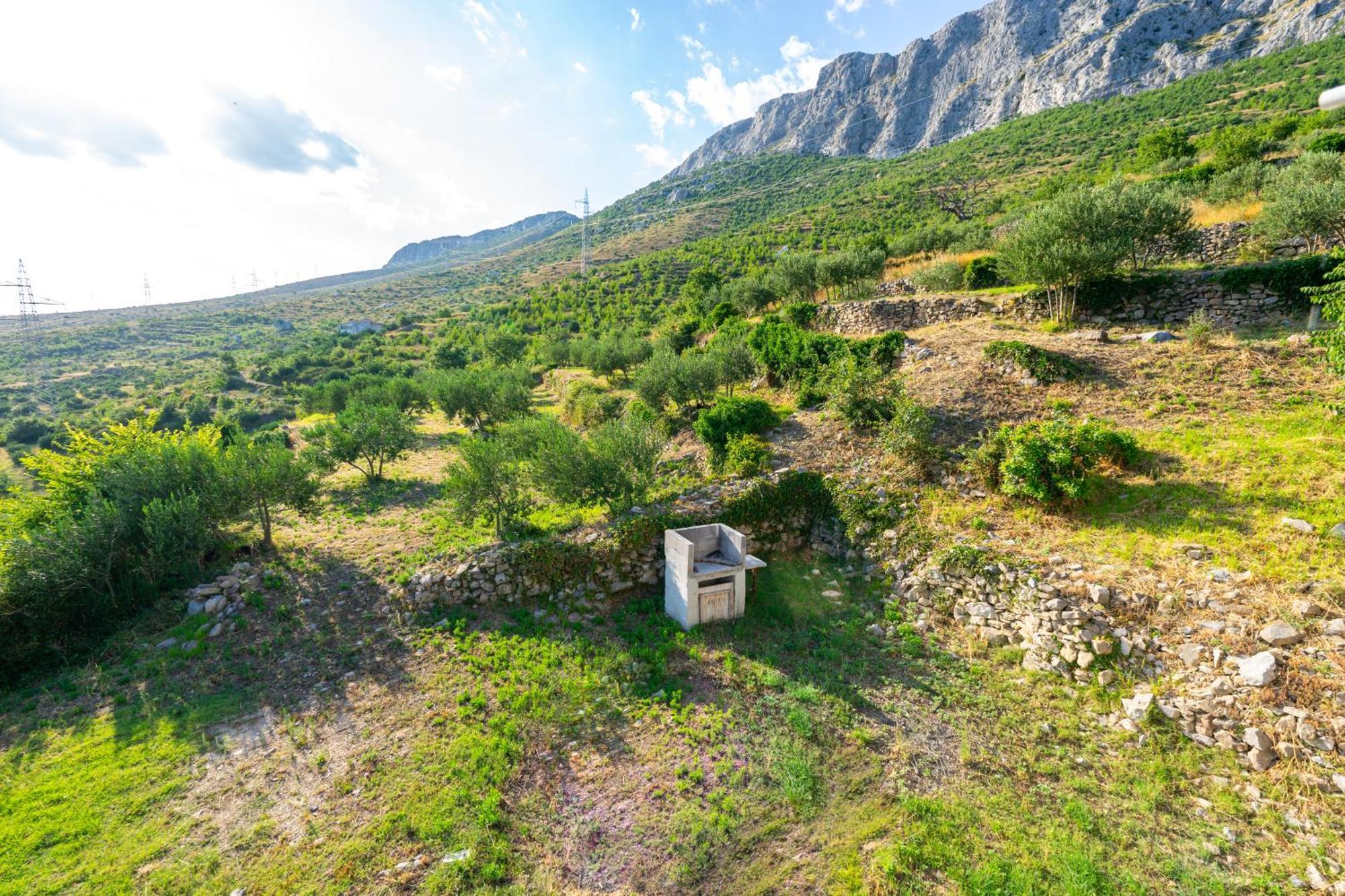 Olive Garden House In Zrnovnica With A View & Bbq Villa ภายนอก รูปภาพ